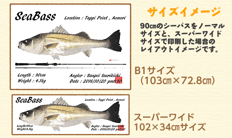 サイズ比較